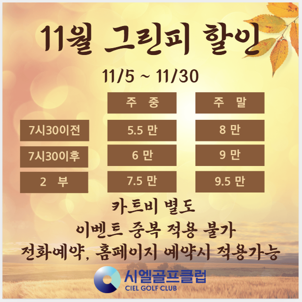 11월할인그린피 